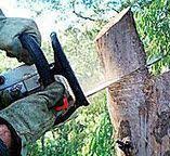 Best Firewood Processing and Delivery  in Manchester, WA